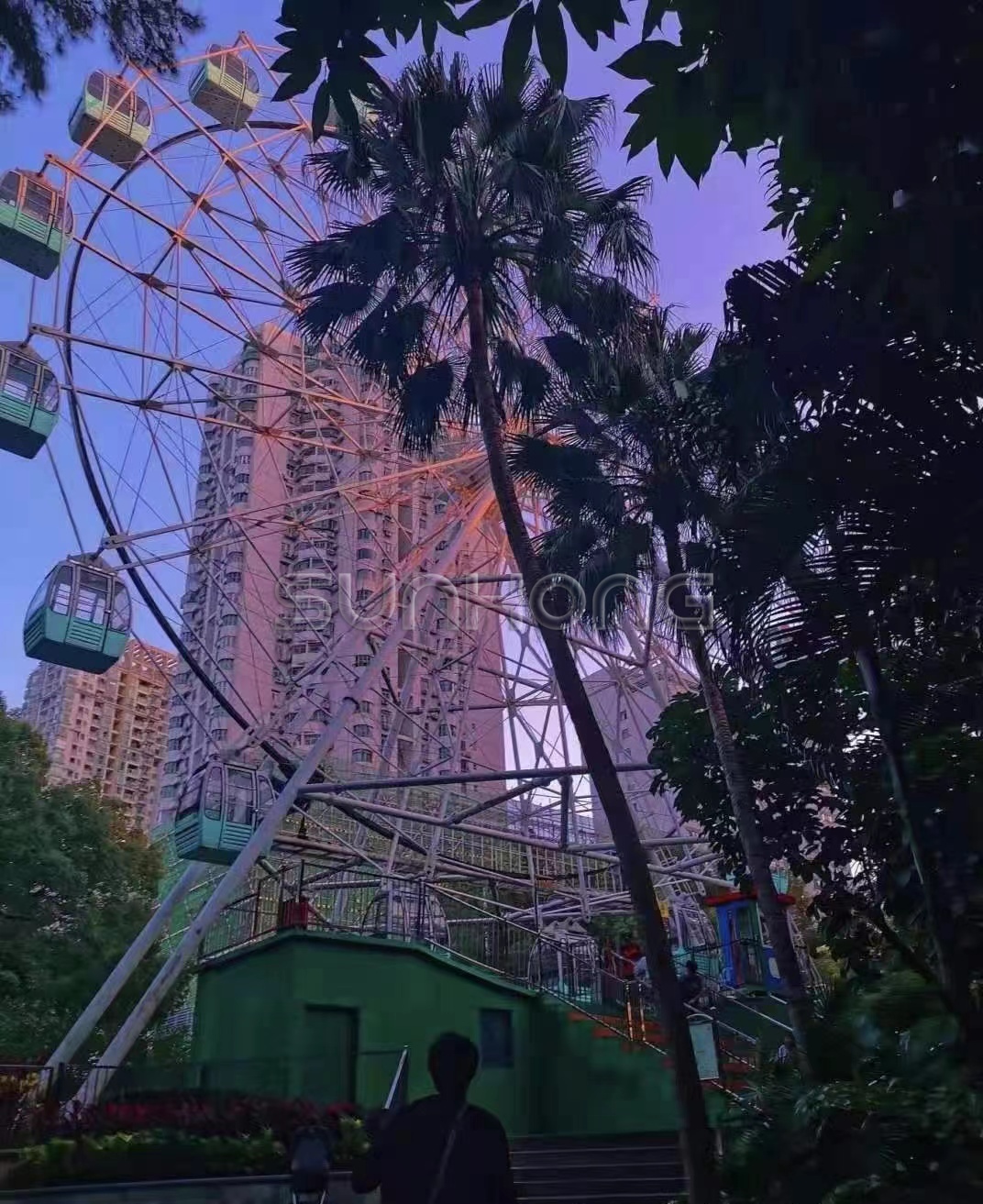 Ferris Wheel from China manufacturer